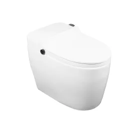 8661W One Piece E/Front Toilet in White