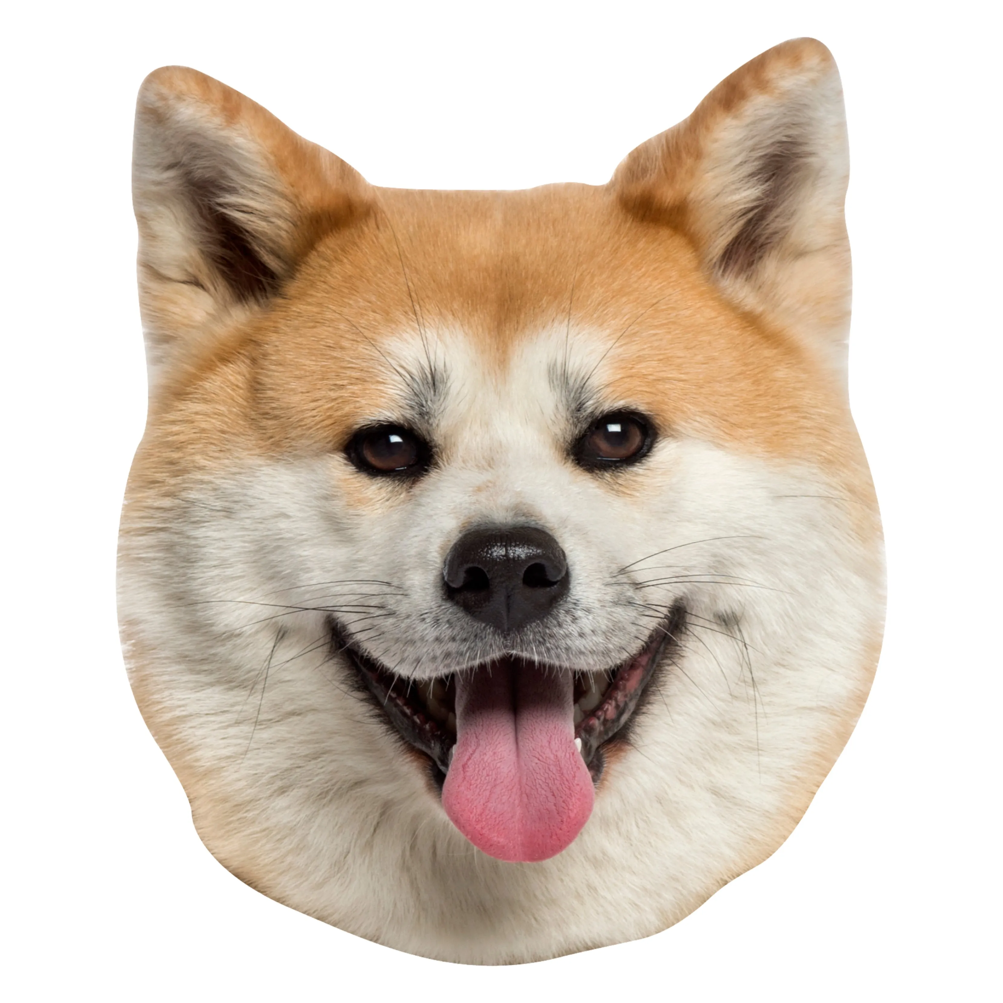 Animals: Akita Inu Foam Core Cutout - Big Head