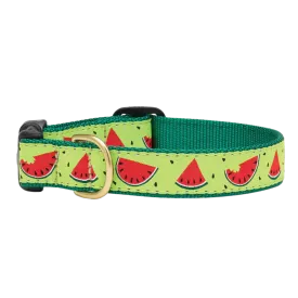 Collar | One In A Melon